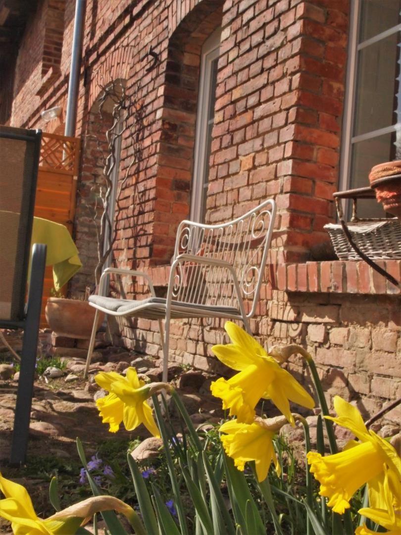 Neu Fewo Im Bauernhaus Mit Idyllischem Innenhof Und Naturgarten Mesekenhagen Esterno foto
